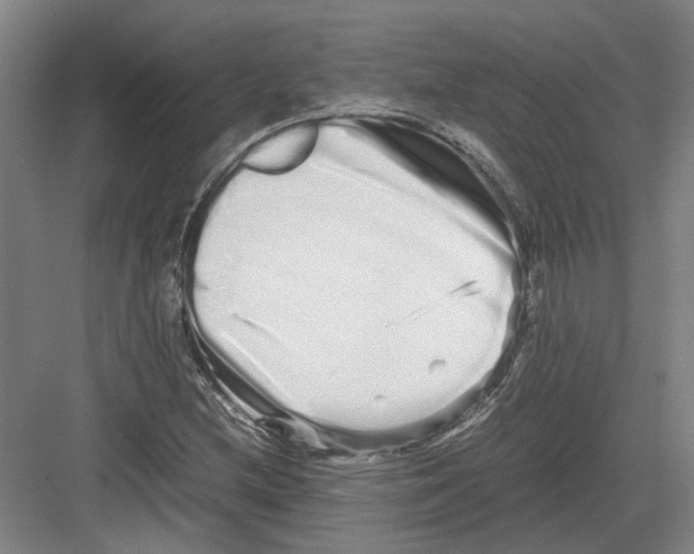 X0000082201212200702170009