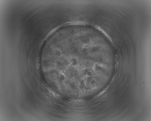 X0000082201213200702170009