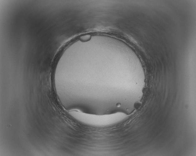 X0000082201214200702170009