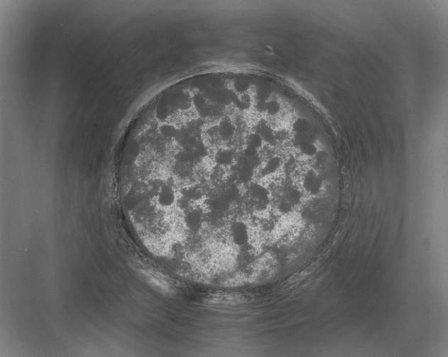 X0000082201215200702170009