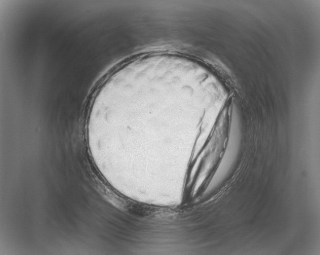 X0000082201216200702170009