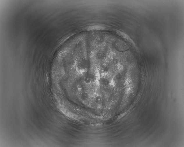 X0000082201217200702170009