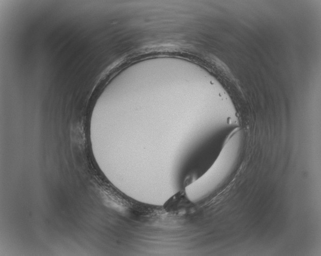 X0000082201218200702170009