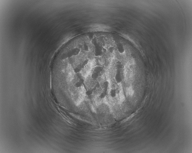 X0000082201219200702170009