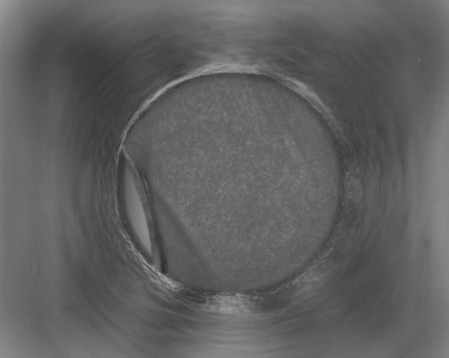 X0000082201220200702170010