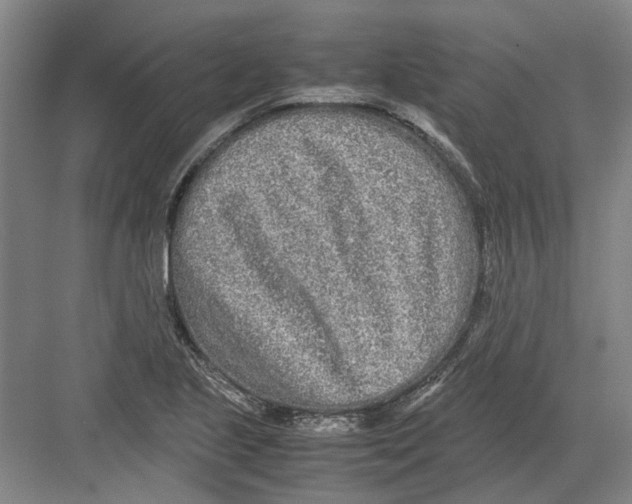 X0000082201221200702170010