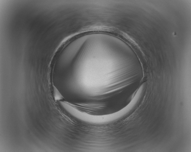 X0000082201222200702170010