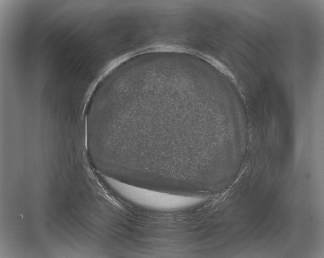 X0000082201223200702170010