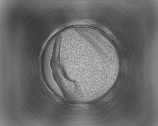 X0000082201224200702170010