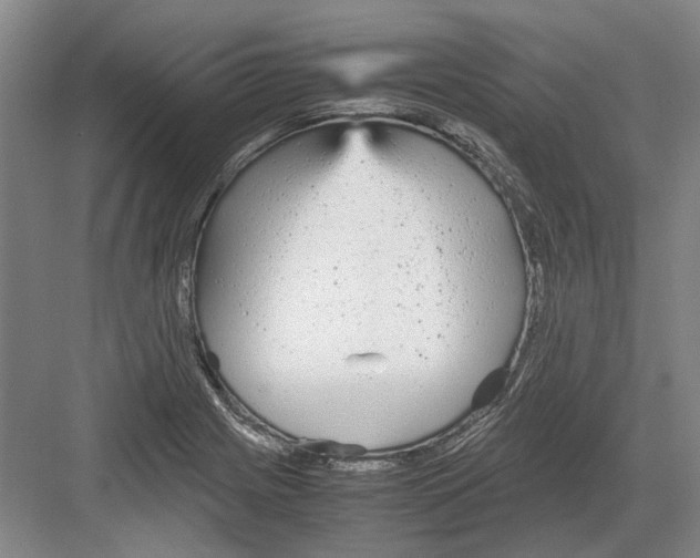 X0000082201225200702170010