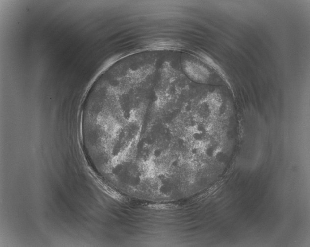 X0000082201227200702170010