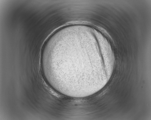 X0000082201228200702170010