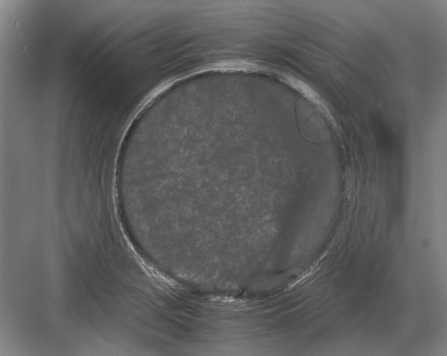 X0000082201229200702170010