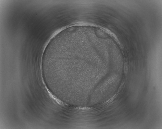 X0000082201231200702170010