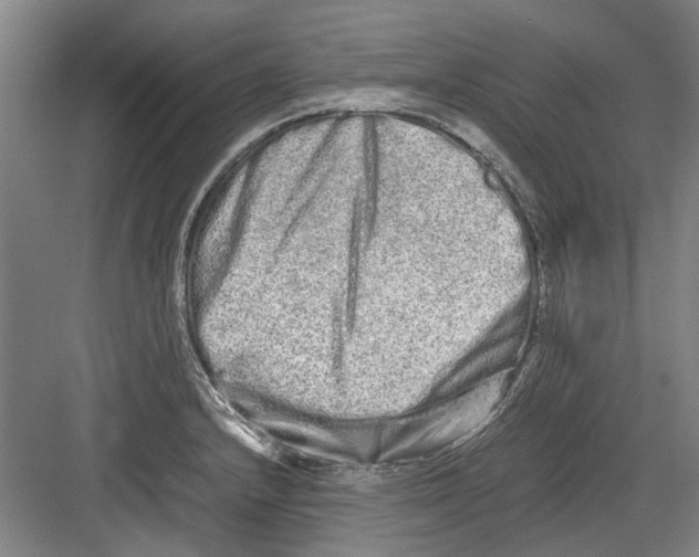 X0000082201232200702170010