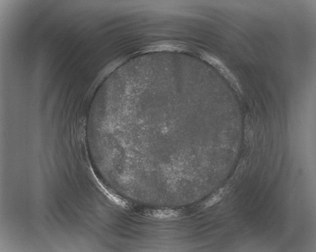 X0000082201233200702170010