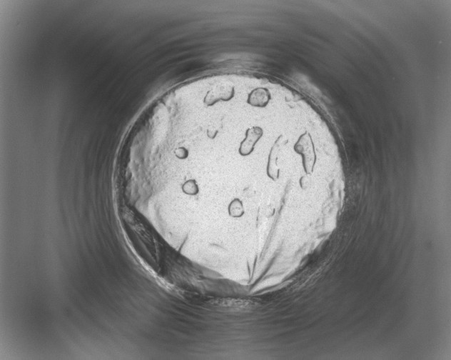 X0000082201235200702170010