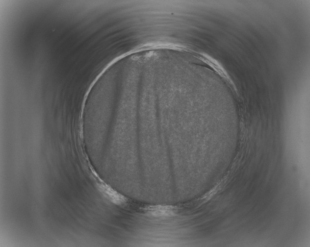 X0000082201236200702170010