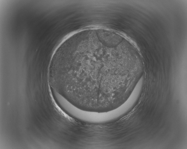 X0000082201239200702170010