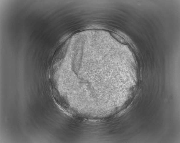 X0000082201241200702170010