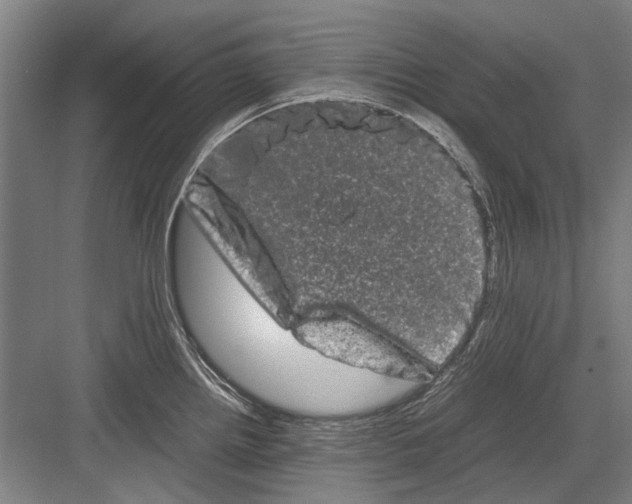 X0000082201242200702170010