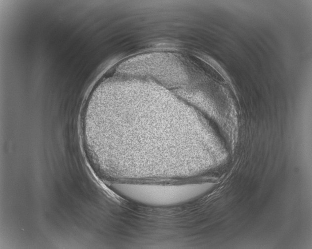 X0000082201243200702170010