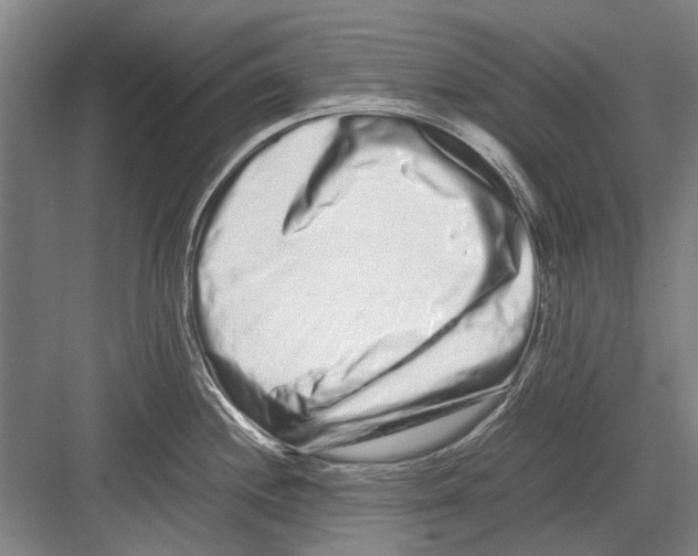 X0000082201244200702170010