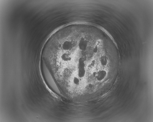 X0000082201245200702170010