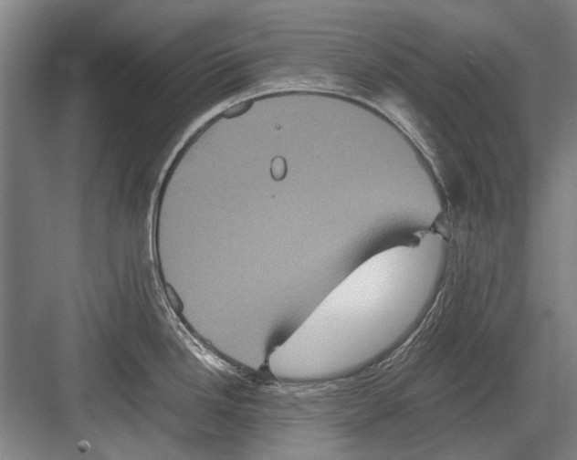 X0000082201246200702170010