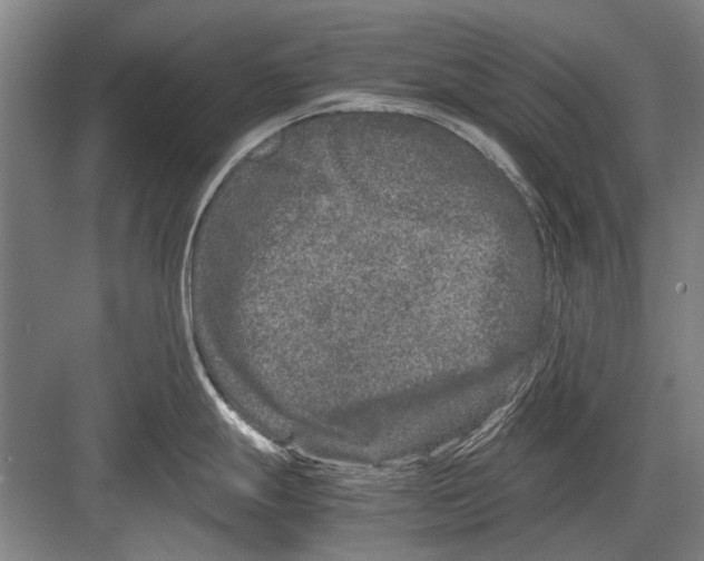 X0000082201247200702170010