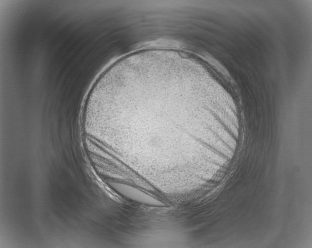 X0000082201248200702170010