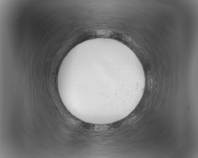 X0000082201249200702170009