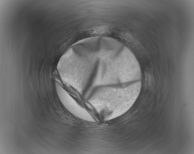 X0000082201250200702170009