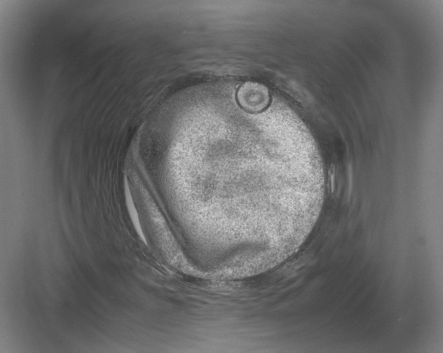 X0000082201251200702170009