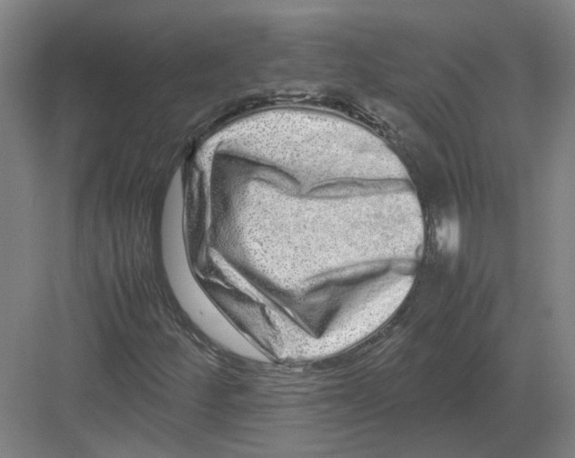 X0000082201252200702170009