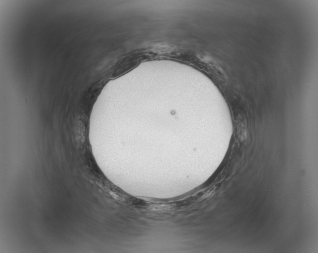 X0000082201253200702170009