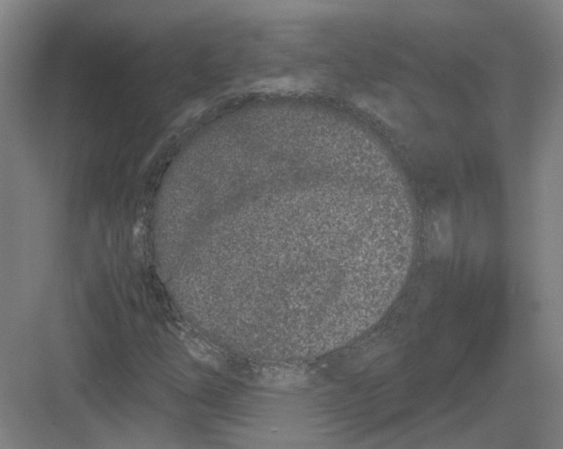 X0000082201254200702170009