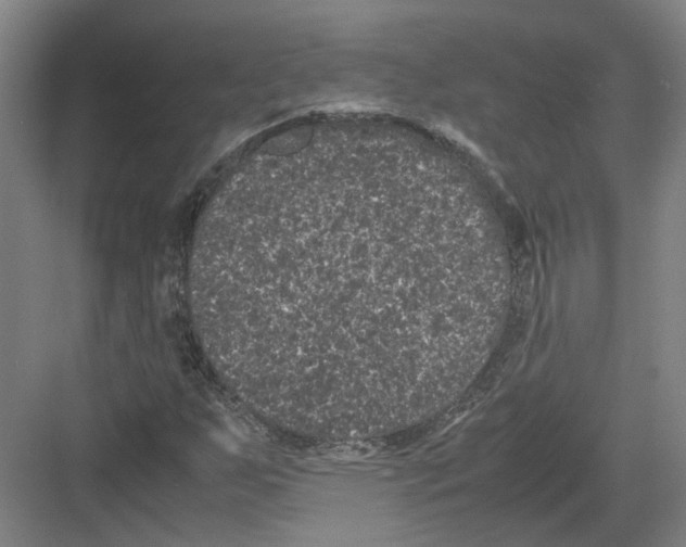 X0000082201255200702170009