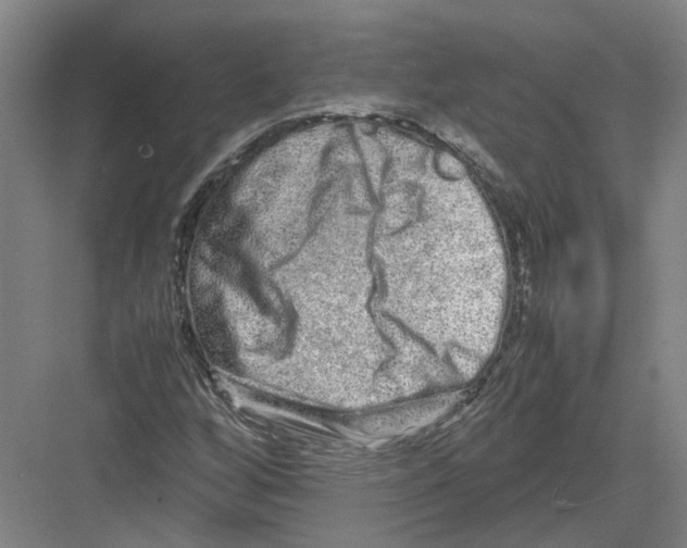 X0000082201256200702170009