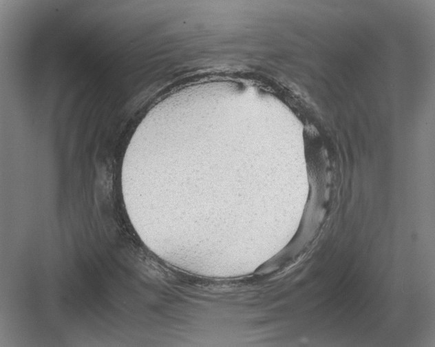 X0000082201257200702170009