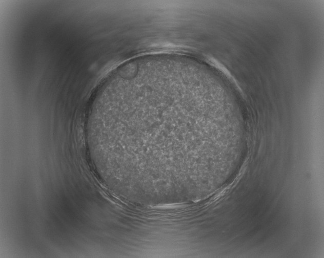 X0000082201259200702170009