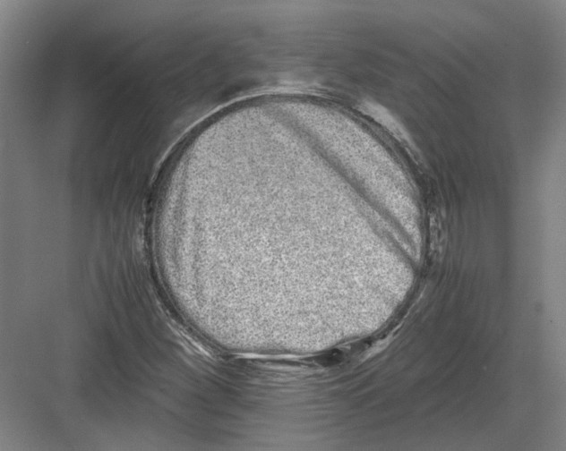 X0000082201260200702170009