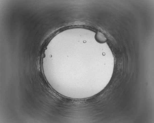 X0000082201262200702170009