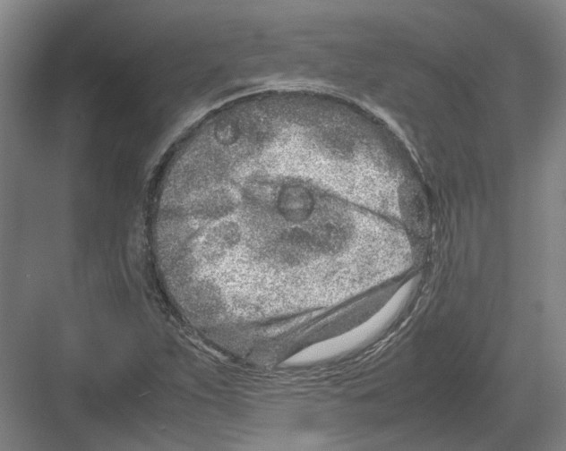 X0000082201263200702170009