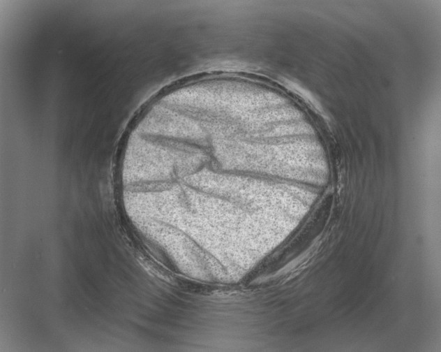 X0000082201264200702170009