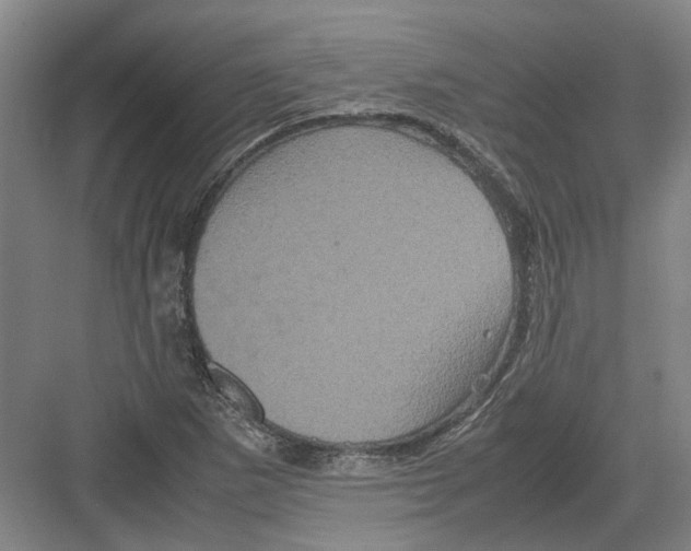 X0000082201265200702170009