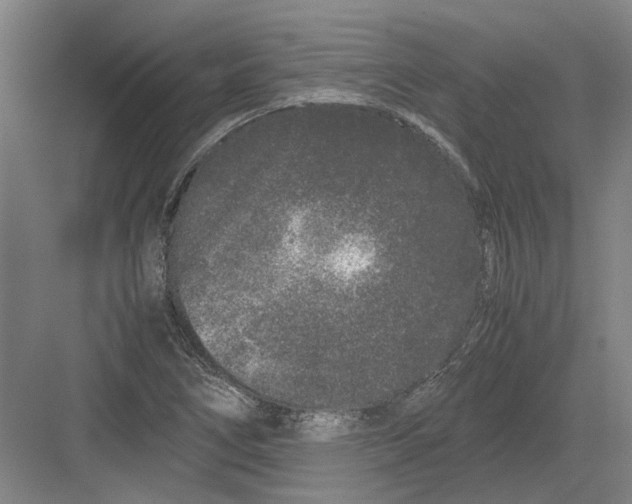 X0000082201266200702170009