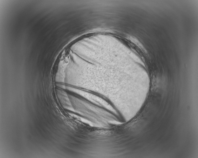 X0000082201268200702170009