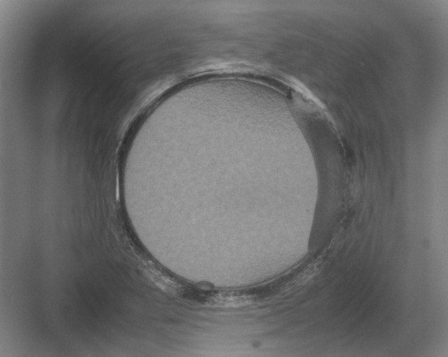 X0000082201269200702170009