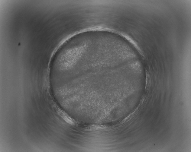 X0000082201270200702170009